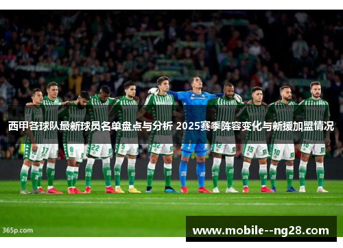 西甲各球队最新球员名单盘点与分析 2025赛季阵容变化与新援加盟情况